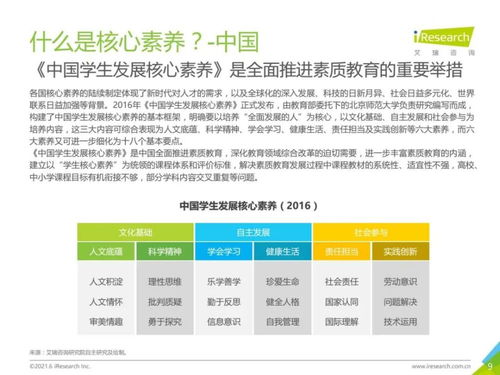 2021年中國素質(zhì)教育行業(yè)趨勢洞察報(bào)告 教育咨詢服務(wù)的變革與機(jī)遇